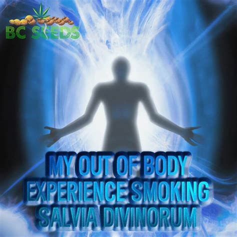 Essential Smoking Salvia Divinorum Guide 